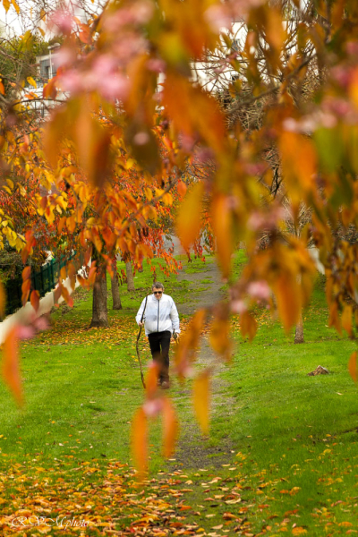 Automne, Lanester