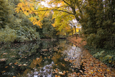 Parc Chevassu, Lorient