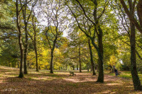 Chateau du diable, Lanester