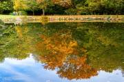 Reflets en automne