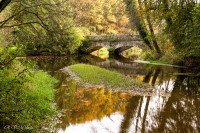 Le Scorff à Pont Callec