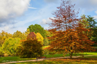 Parc du Plessis, Lanester
