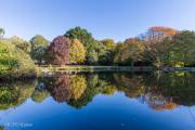 Parc du Plessis, Lanester