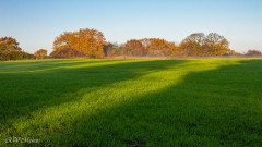 Couleurs d'automne le matin, Lanester