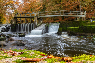 Le Scorff près de Pont-Calleck