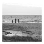 Balade en bord de mer