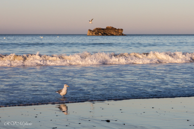 Mer paisible le soir