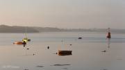 Matin calme sur la rivière