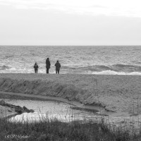 Balade en bord de mer