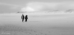 Seuls sur la plage