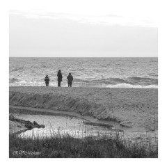 Balade en bord de mer