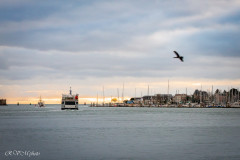 La sortie de la rade