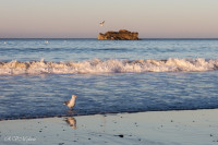 Mer paisible le soir