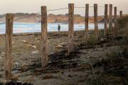 Protection des dunes