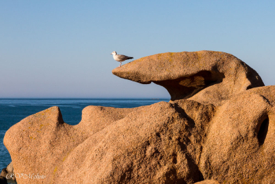 Côte de granit rose