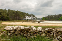 Ria d'Etel, muret de pierres sèches