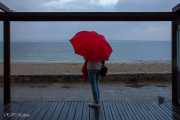 Sous la pluie