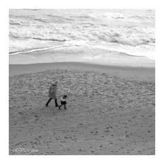 Balade en bord de mer