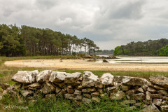 Ria d'Etel, muret de pierres sèches