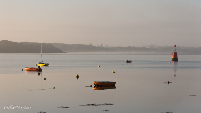 Matin calme sur la rivière