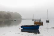 Brouillard sur la rivière