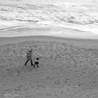Balade en bord de mer
