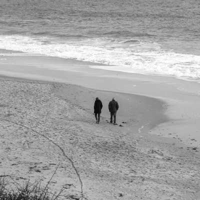 Balade en bord de mer