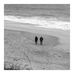 Balade en bord de mer