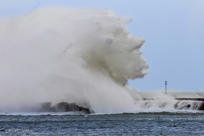 Vague à Lomener, le gorille