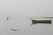 Brouillard sur la rivière