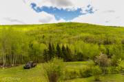 Forêt canadienne