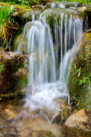 Elle a tout d'une grande