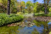 Un coin de parc Canada