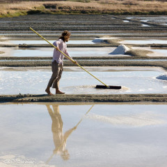 Marais salants, Guérande