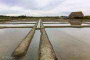 Marais salants, Guérande