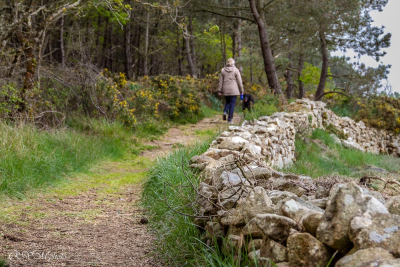 Ria d'Etel, sentier côtier