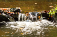 Le Scorff à Pont Callec