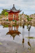 Le jardin Chinois des 3 rêves, Tropical Parc St Jacut