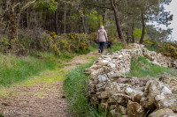 Ria d'Etel, sentier côtier
