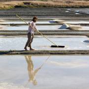 Marais salants, Guérande