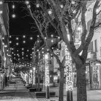 Rue du port, Lorient