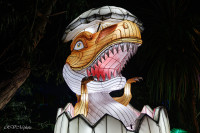 Les animaux de lumière