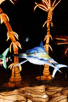 Les animaux de lumière