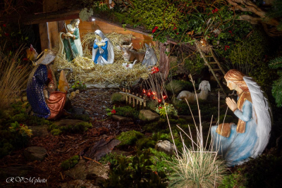 Rochefort en terre 2018