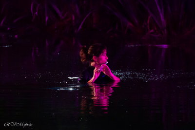 La flutiste dans l'eau, Lanester