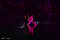 La flutiste dans l'eau, Lanester