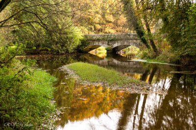 Le Scorff à Pont Callec