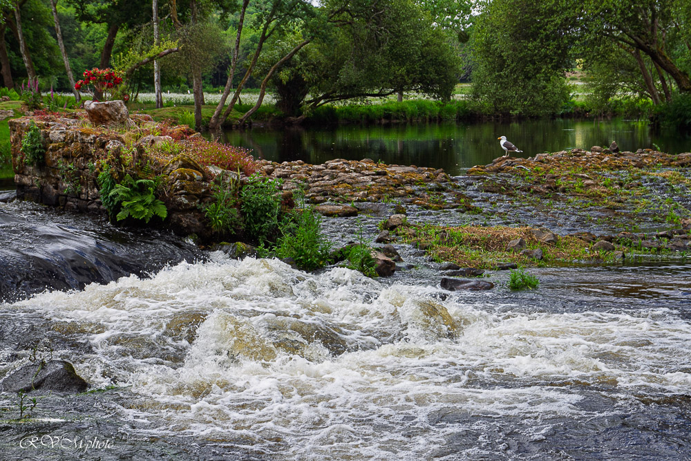 L'Ellé au moulin Mohot, Locunolé