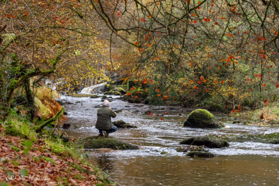 Le Scorff près de Pont-Calleck