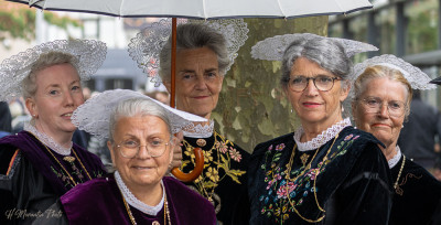 Spectacles de rue